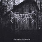 Springtime Depression album cover