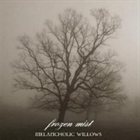 FROZEN MIST Melancholic Willows album cover