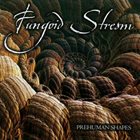 FUNGOID STREAM Prehuman Shapes album cover