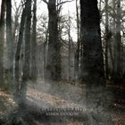 GALLOWBRAID Ashen Eidolon album cover