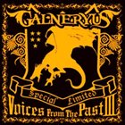 GALNERYUS Voices From The Past III album cover