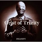 GEIST OF TRINITY Insanity album cover