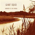 GIANT SQUID — Monster in the Creek album cover