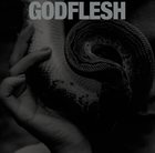 GODFLESH Purge album cover