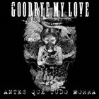 GOODBYE MY LOVE Antes Que Tudo Morra album cover