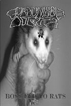 GORGONIZED DORKS Boss Fed To Rats album cover