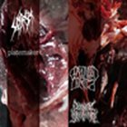 GORGONIZED DORKS Sete Star Sept / Platemaker / Psychotic Sufferance / Gorgonized Dorks album cover