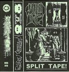 GORGONIZED DORKS Split Tape! album cover