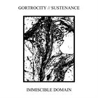 GORTROCITY Immiscible Domain album cover