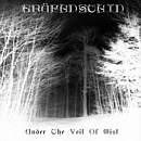 GRÄFENSTEIN Under the Veil of Mist album cover