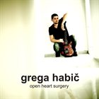 GREGA HABIČ — Open Heart Surgery album cover