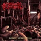 GROTESQUE FORMATION Basement Decompositions album cover
