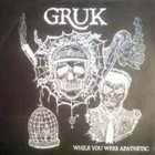 GRUK While You Were Apathetic album cover