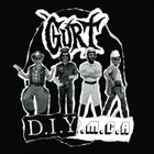 GURT DIYMCA album cover