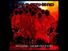 HAMMERHEAD Insane Generation album cover
