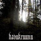 HAVUKRUUNU Metsänpeitto album cover