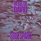 HEAD OF DAVID Soul Spark album cover