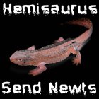 HEMISAURUS Send Newts album cover