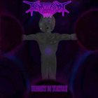HEMOTOXIN Divinity in Torture album cover