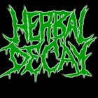 HERBAL DECAY '11 Demo album cover