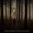 HOLLOW VALLEY You Won't Feel A Thing album cover