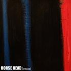 HORSE HEAD Terminal album cover