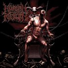 Torture of Decimation album cover