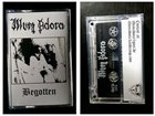 ILLUM ADORA Begotten album cover