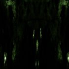IMPETUOUS RITUAL Unholy Congregation of Hypocritical Ambivalence album cover
