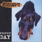IMPOTATORS Perfect Day album cover