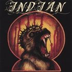 INDIAN The Unquiet Sky album cover