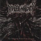 INFECTED MALIGNITY The Malignity Born From Despair album cover