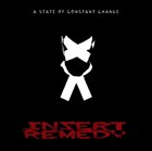 INSERT REMEDY A State of Constant Change album cover