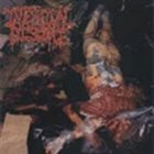 INTESTINAL DISGORGE Whore Splattered Walls album cover