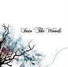 INTO THE WOODS Into the Woods album cover