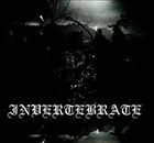 INVERTEBRATE Invertebrate album cover