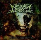 INVOKE THE CARNAGE Denied Resurrection album cover