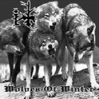 IT Wolves of Winter album cover