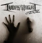 IVORY NIGHT The Healing album cover
