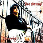 JOE STUMP Shredology album cover