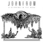 JOHN FRUM — A Stirring in the Noos album cover