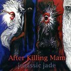 JURASSIC JADE After Killing Mam album cover