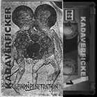 KADAVERFICKER Gehirnpenetration album cover