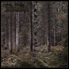 KALMANKANTAJA Metsäkalmisto album cover