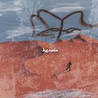 KERALA Through The Desert album cover