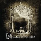 KORN Take a Look in the Mirror album cover