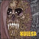 KYLESA No Ending / A 100° Heat Index album cover