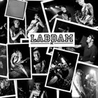 LABDAM W.D.G.A.F. album cover