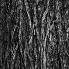 LEER Akt. I album cover