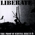 LIBERATE The Proof Of Survival Here It Is... album cover